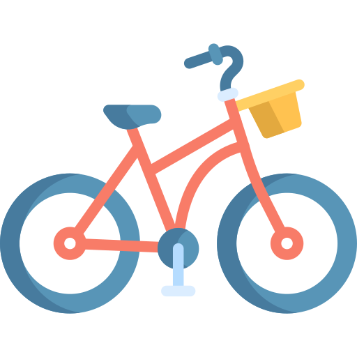 Options available for bicycle licensing
