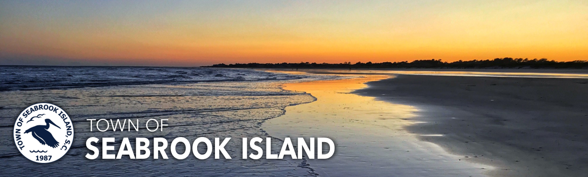 Town of Buena Vista main street